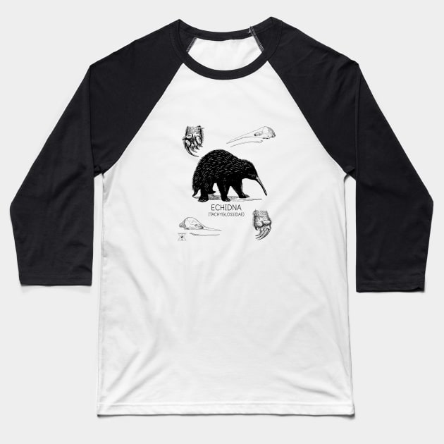 Echidna Study Shirt | Natural History Animal Illustration | Australian Mammal Taxonomy and Species Education Baseball T-Shirt by encyclo